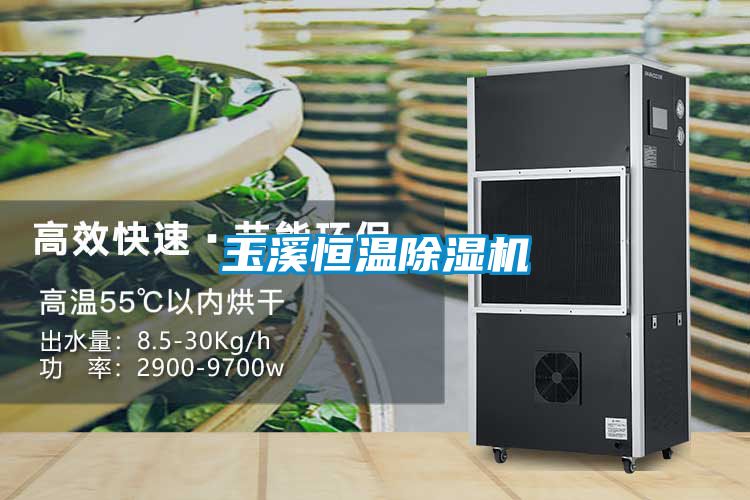 国产精品三级在线观看 玉溪恒温除湿机