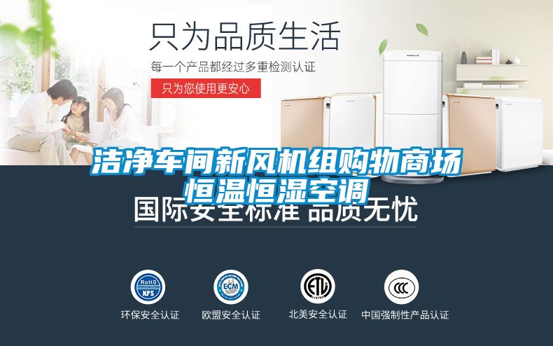 国产精品探花在线观看 洁净车间新风机组购物商场恒温恒湿空调