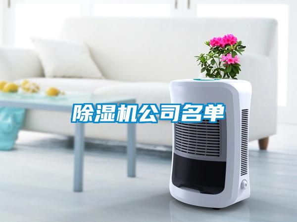 国产精品三级在线观看 除湿机公司名单