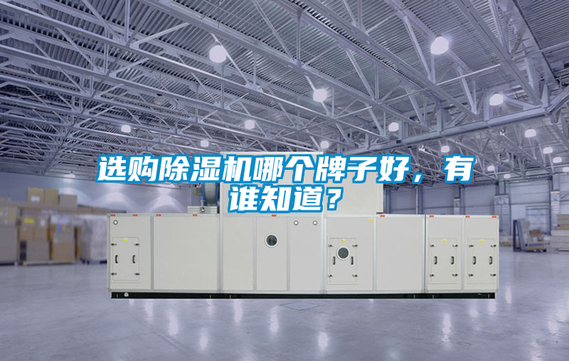 国产精品三级在线观看 选购除湿机哪个牌子好，有谁知道？