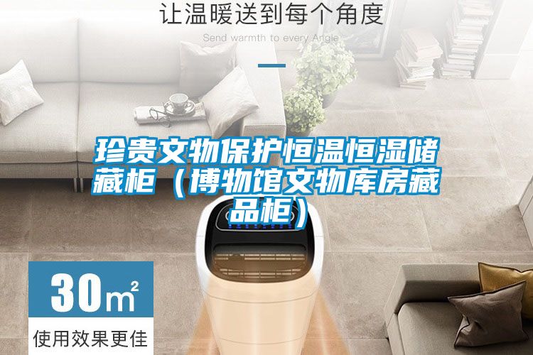 国产精品三级在线观看 珍贵文物保护恒温恒湿储藏柜（博物馆文物库房藏品柜）