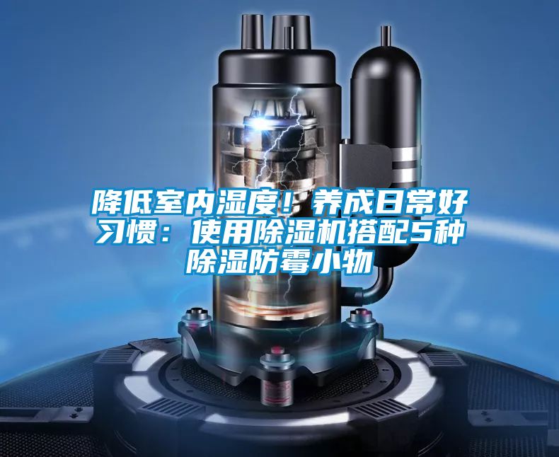 国产精品欧美激情视频 降低室内湿度！养成日常好习惯：使用除湿机搭配5种除湿防霉小物