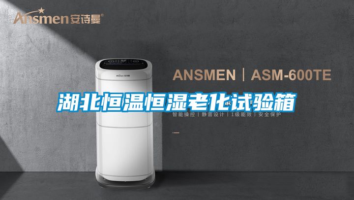 国产精品三级在线观看 湖北恒温恒湿老化试验箱