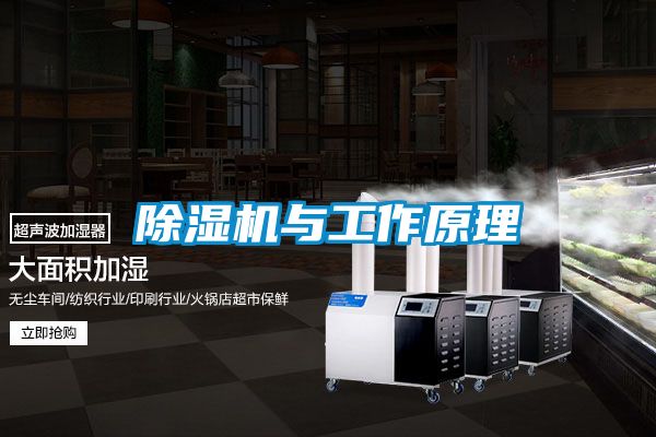 国产精品三级在线观看 除湿机与工作原理