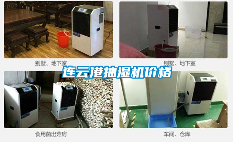 国产精品欧美激情视频 连云港抽湿机价格