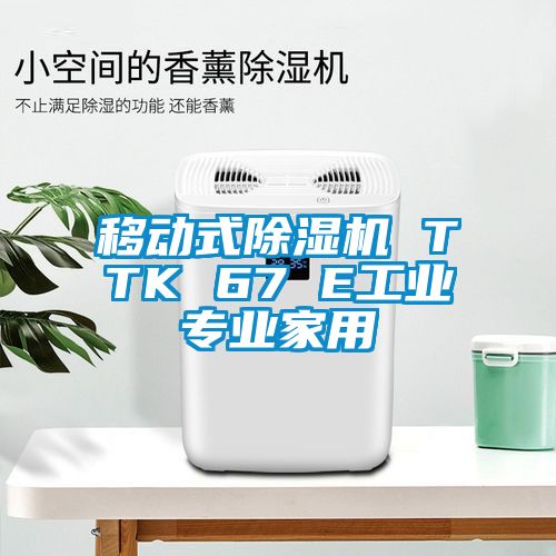 国产精品欧美激情视频 移动式除湿机 TTK 67 E工业专业家用