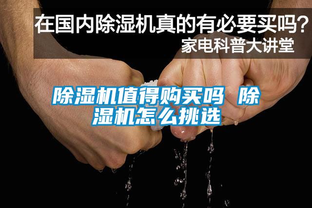 国产精品欧美激情视频 除湿机值得购买吗 除湿机怎么挑选
