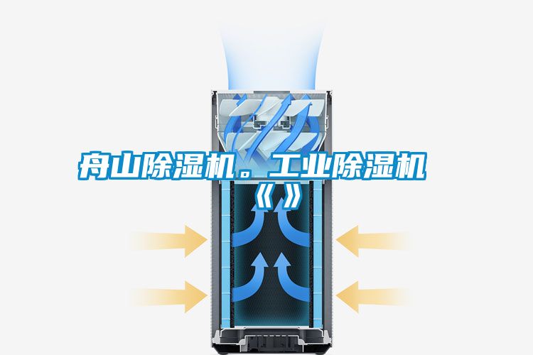 国产精品三级在线观看 舟山除湿机。工业除湿机《》
