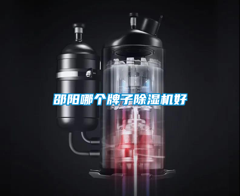 国产精品欧美激情视频 邵阳哪个牌子除湿机好