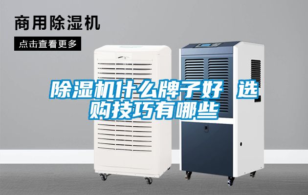国产精品探花在线观看 除湿机什么牌子好 选购技巧有哪些