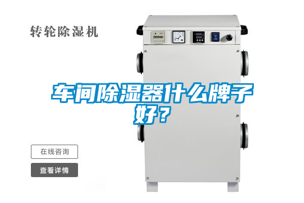 国产精品欧美激情视频 车间除湿器什么牌子好？