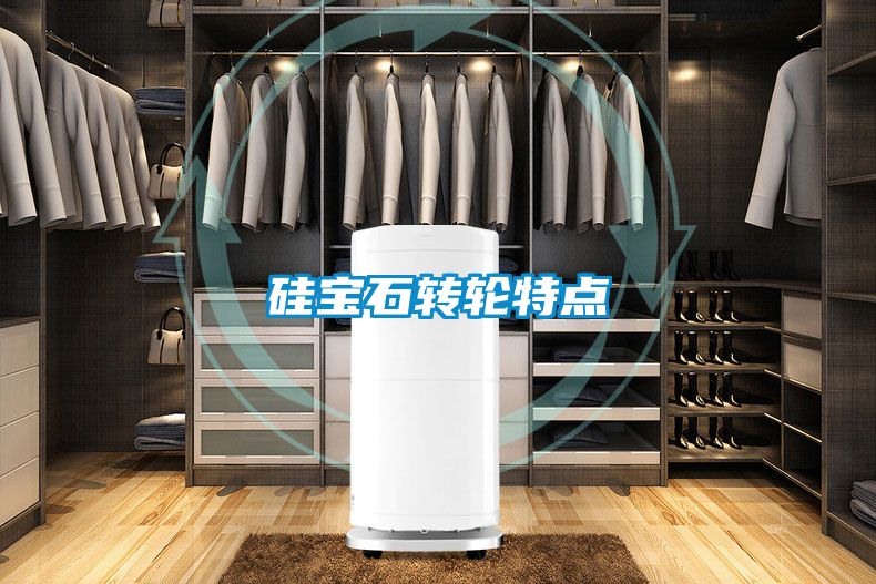 国产精品三级在线观看 硅宝石转轮特点
