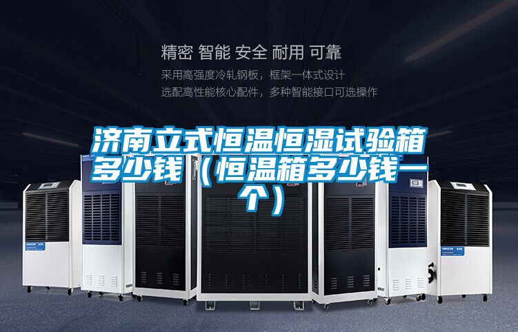 国产精品欧美激情视频 济南立式恒温恒湿试验箱多少钱（恒温箱多少钱一个）