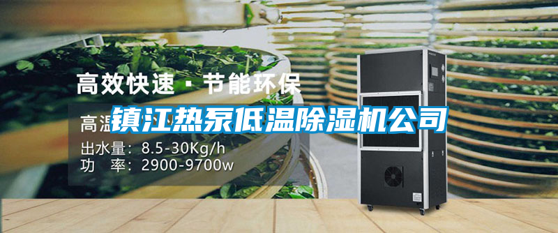 国产精品三级在线观看 镇江热泵低温除湿机公司