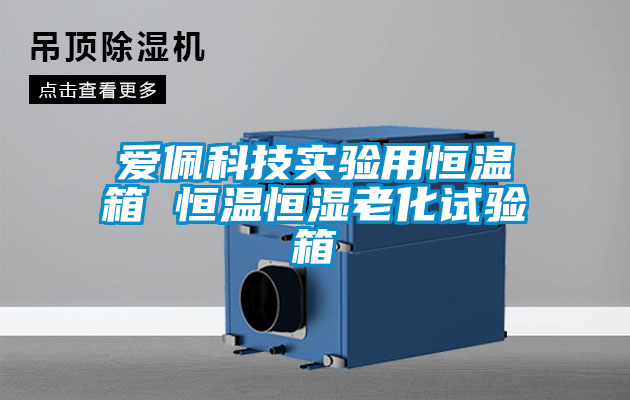 国产精品三级在线观看 爱佩科技实验用恒温箱 恒温恒湿老化试验箱