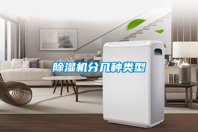 国产精品三级在线观看 除湿机分几种类型