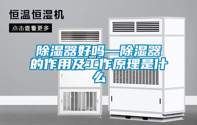 国产精品欧美激情视频 除湿器好吗—除湿器的作用及工作原理是什么