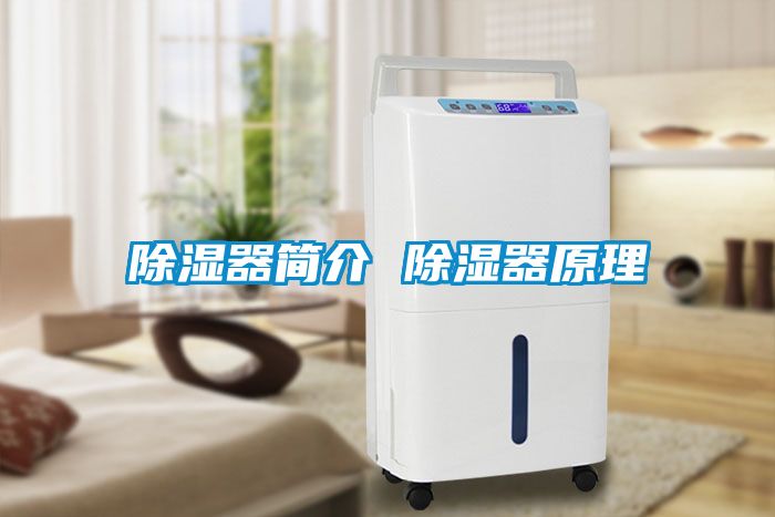 国产精品探花在线观看 除湿器简介 除湿器原理