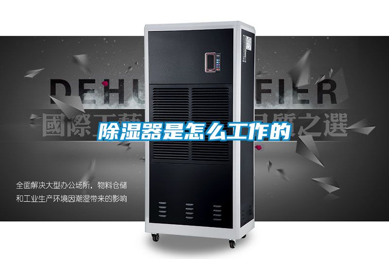 国产精品探花在线观看 除湿器是怎么工作的