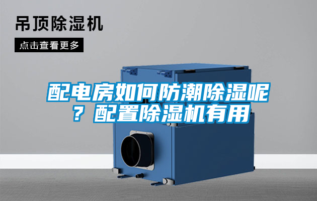 国产精品三级在线观看 配电房如何防潮除湿呢？配置除湿机有用