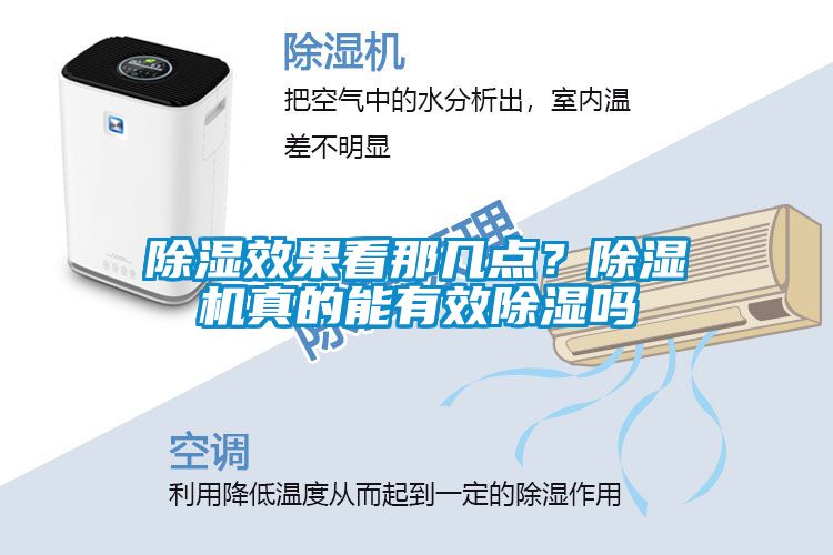 国产精品欧美激情视频 除湿效果看那几点？除湿机真的能有效除湿吗