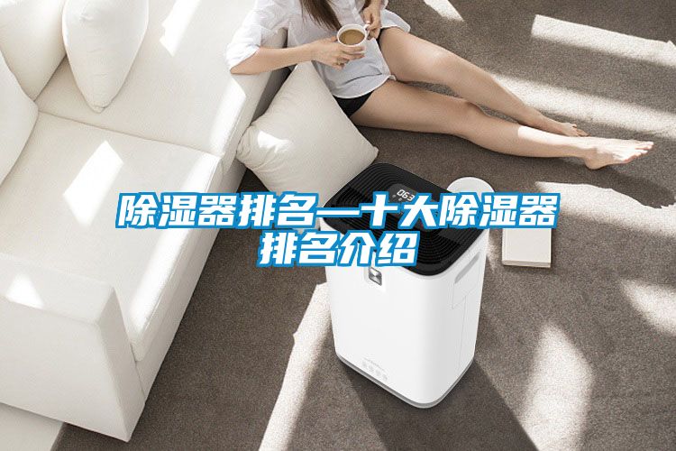 国产精品探花在线观看 除湿器排名—十大除湿器排名介绍