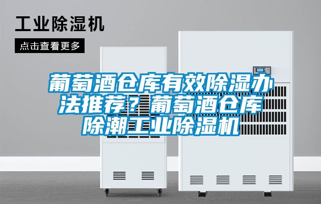 国产精品欧美激情视频 葡萄酒仓库有效除湿办法推荐？葡萄酒仓库除潮工业除湿机