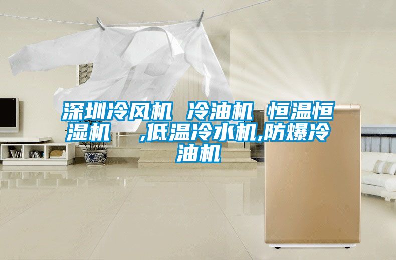 国产精品欧美激情视频 深圳冷风机 冷油机 恒温恒湿机  ,低温冷水机,防爆冷油机