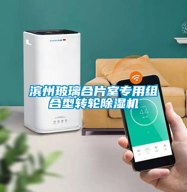 国产精品三级在线观看 滨州玻璃合片室专用组合型转轮除湿机