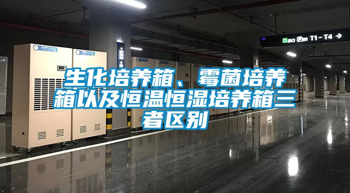 国产精品三级在线观看 生化培养箱、霉菌培养箱以及恒温恒湿培养箱三者区别