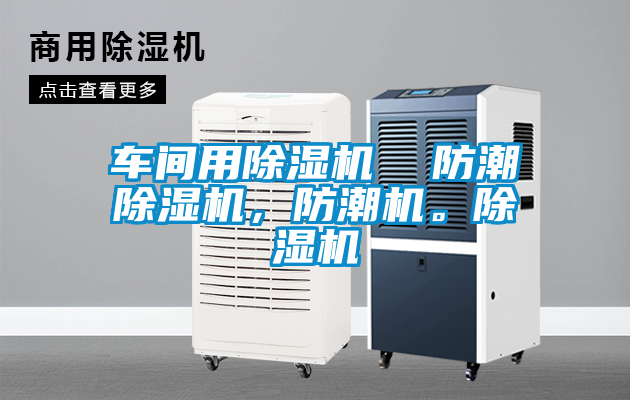 国产精品三级在线观看 车间用除湿机  防潮除湿机，防潮机。除湿机
