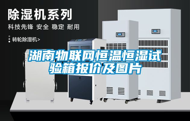 国产精品三级在线观看 湖南物联网恒温恒湿试验箱报价及图片