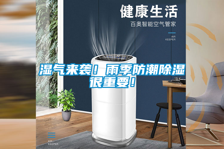 国产精品三级在线观看 湿气来袭！雨季防潮除湿很重要！