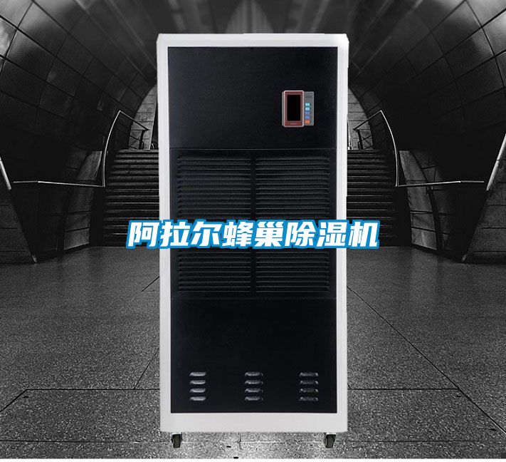 国产精品三级在线观看 阿拉尔蜂巢除湿机