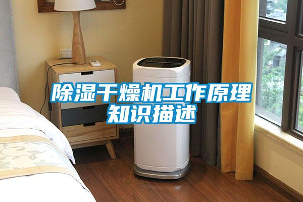 国产精品欧美激情视频 除湿干燥机工作原理知识描述