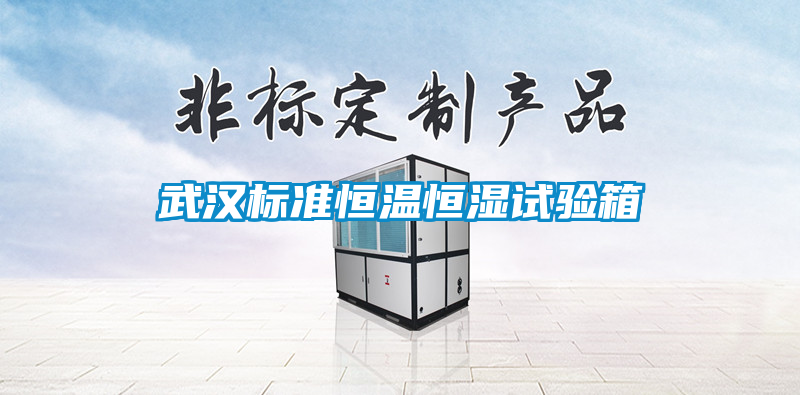 国产精品三级在线观看 武汉标准恒温恒湿试验箱