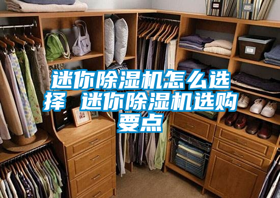 国产精品三级在线观看 迷你除湿机怎么选择 迷你除湿机选购要点