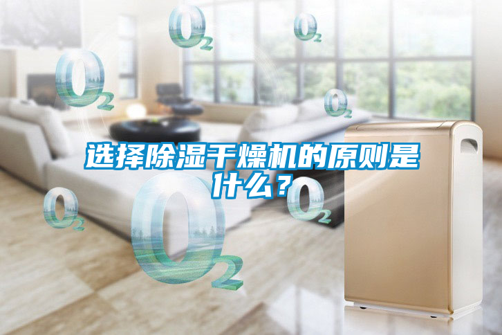 国产精品探花在线观看 选择除湿干燥机的原则是什么？