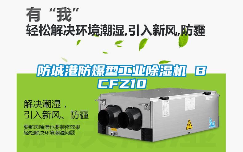 国产精品欧美激情视频 防城港防爆型工业除湿机 BCFZ10