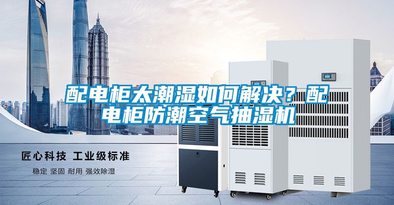 国产精品欧美激情视频 配电柜太潮湿如何解决？配电柜防潮空气抽湿机