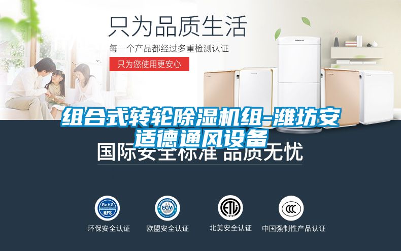 国产精品三级在线观看 组合式转轮除湿机组-潍坊安适德通风设备