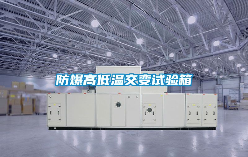 国产精品欧美激情视频 防爆高低温交变试验箱