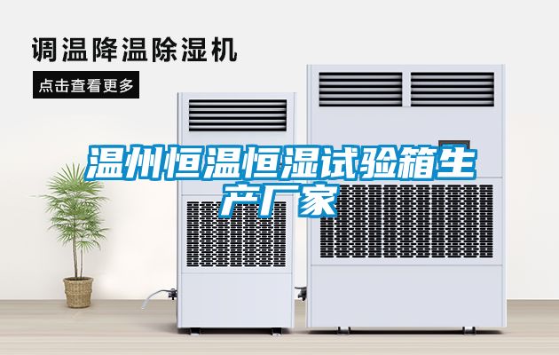 国产精品欧美激情视频 温州恒温恒湿试验箱生产厂家