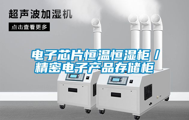 国产精品三级在线观看 电子芯片恒温恒湿柜／精密电子产品存储柜
