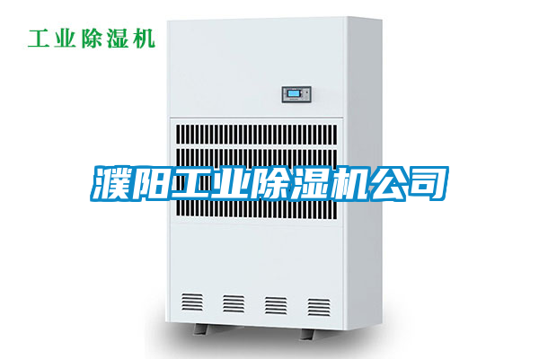 国产精品三级在线观看 濮阳工业除湿机公司