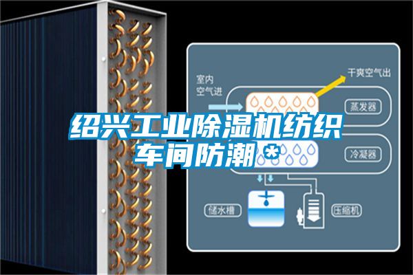 国产精品三级在线观看 绍兴工业除湿机纺织车间防潮＊
