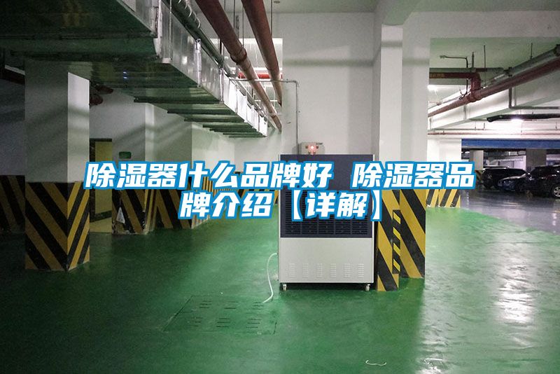 国产精品三级在线观看 除湿器什么品牌好 除湿器品牌介绍【详解】