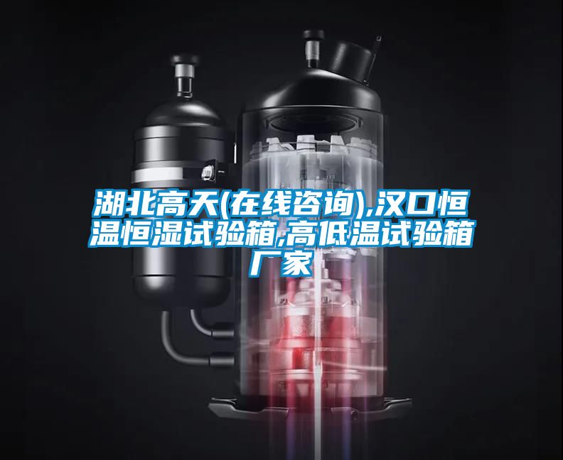 国产精品三级在线观看 湖北高天(在线咨询),汉口恒温恒湿试验箱,高低温试验箱厂家