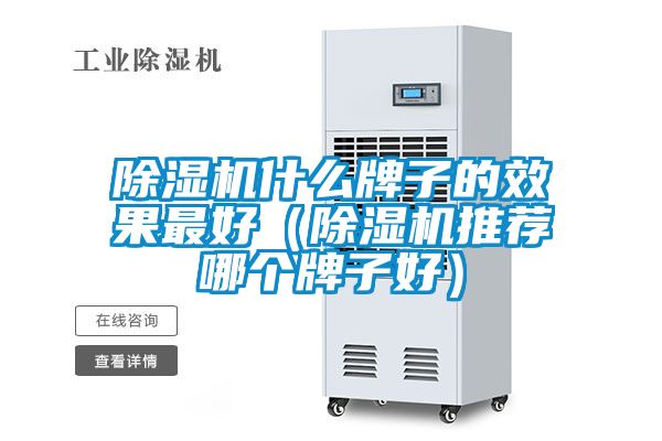 国产精品欧美激情视频 除湿机什么牌子的效果最好（除湿机推荐哪个牌子好）