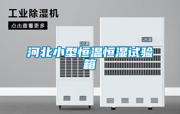 国产精品欧美激情视频 河北小型恒温恒湿试验箱